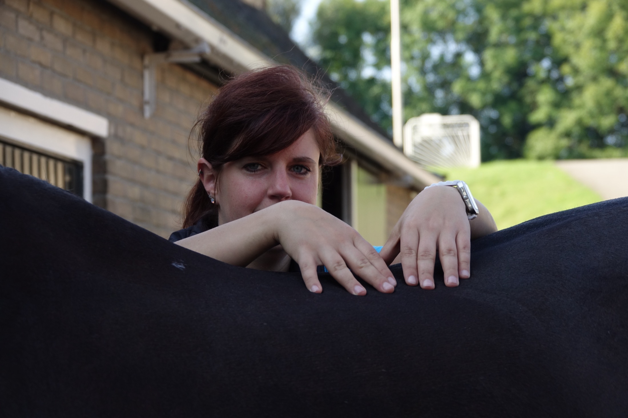 Wendy Kooi tijdens een osteopathisch consult met een paard